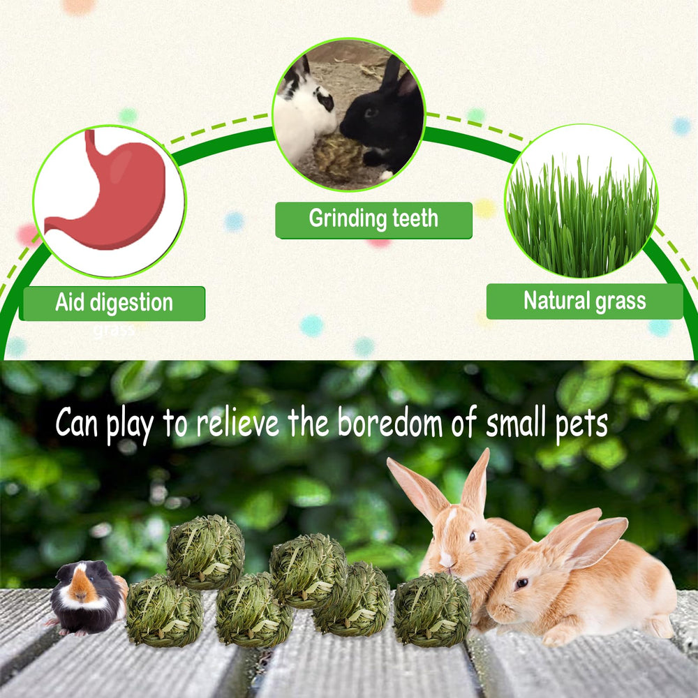 Balle herbe kathson pour cochon d’inde, activité ludique et mastication naturelle.