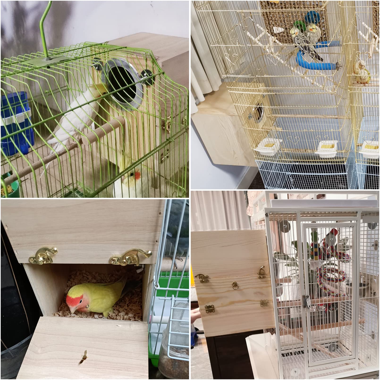 Kathson boîte nid perroquet bois-personnalisation: personnalisez l'enclos de votre oiseau.