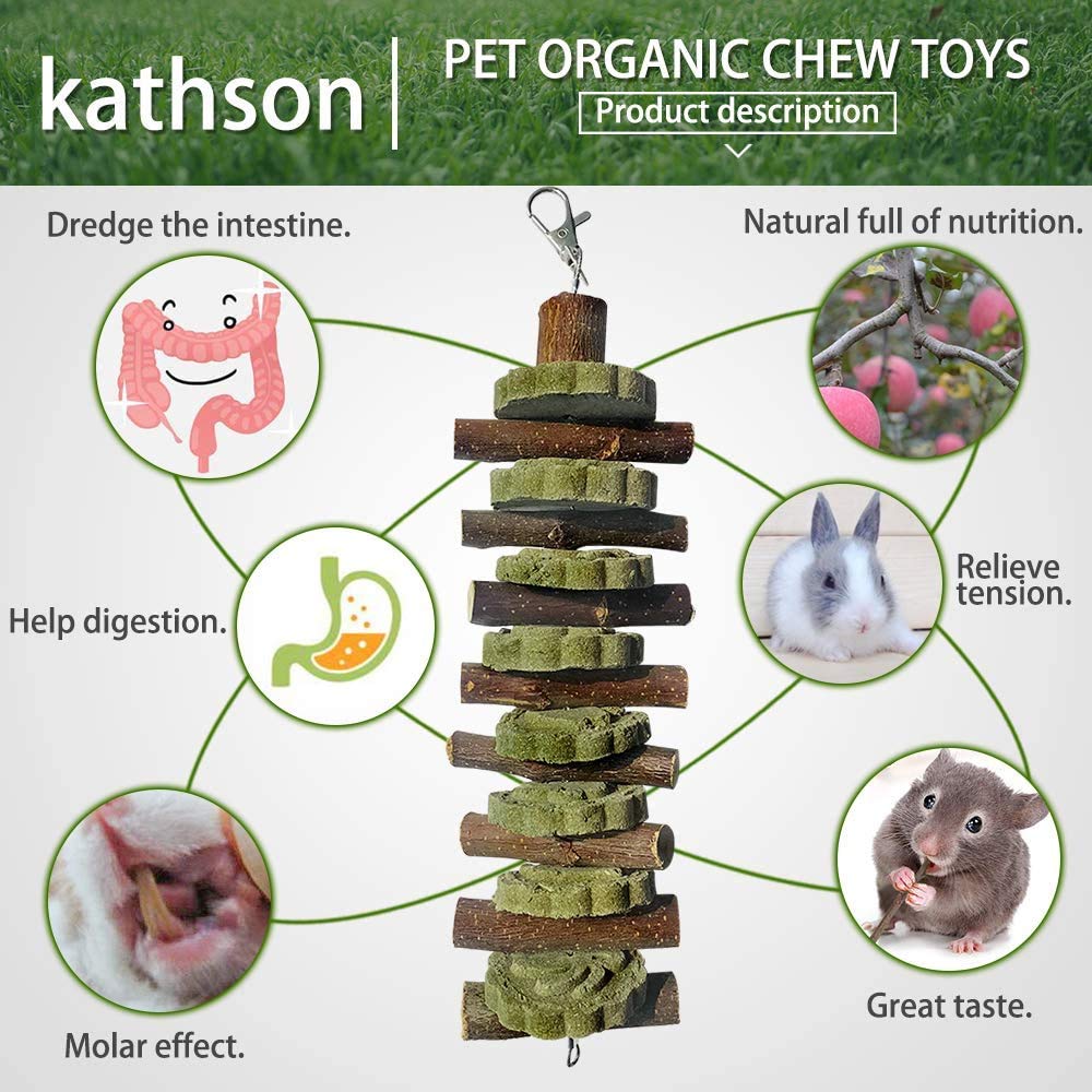 Kathson branches bois-fruit naturelles — parfaite mastication quotidienne.