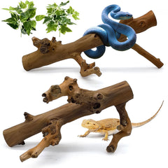 Kathson branche grimpe serpent, bois naturel poli pour reptiles.