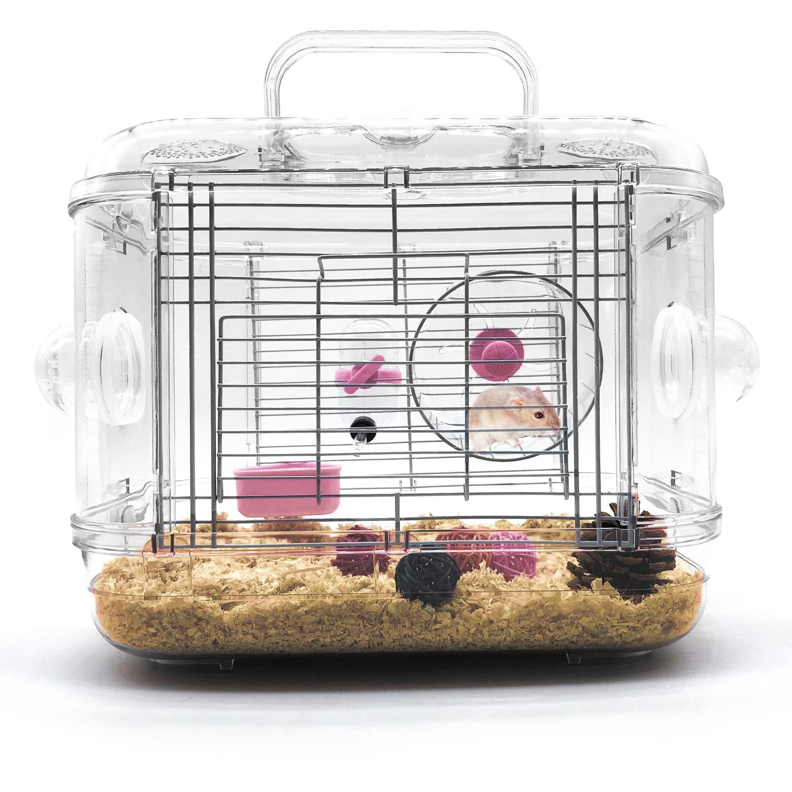 Cage Kathson pour petits animaux transparente, observation facile et interaction quotidienne.