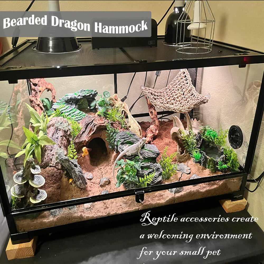 Kathson clips et ventouses incluses, fixation facile dans terrarium.