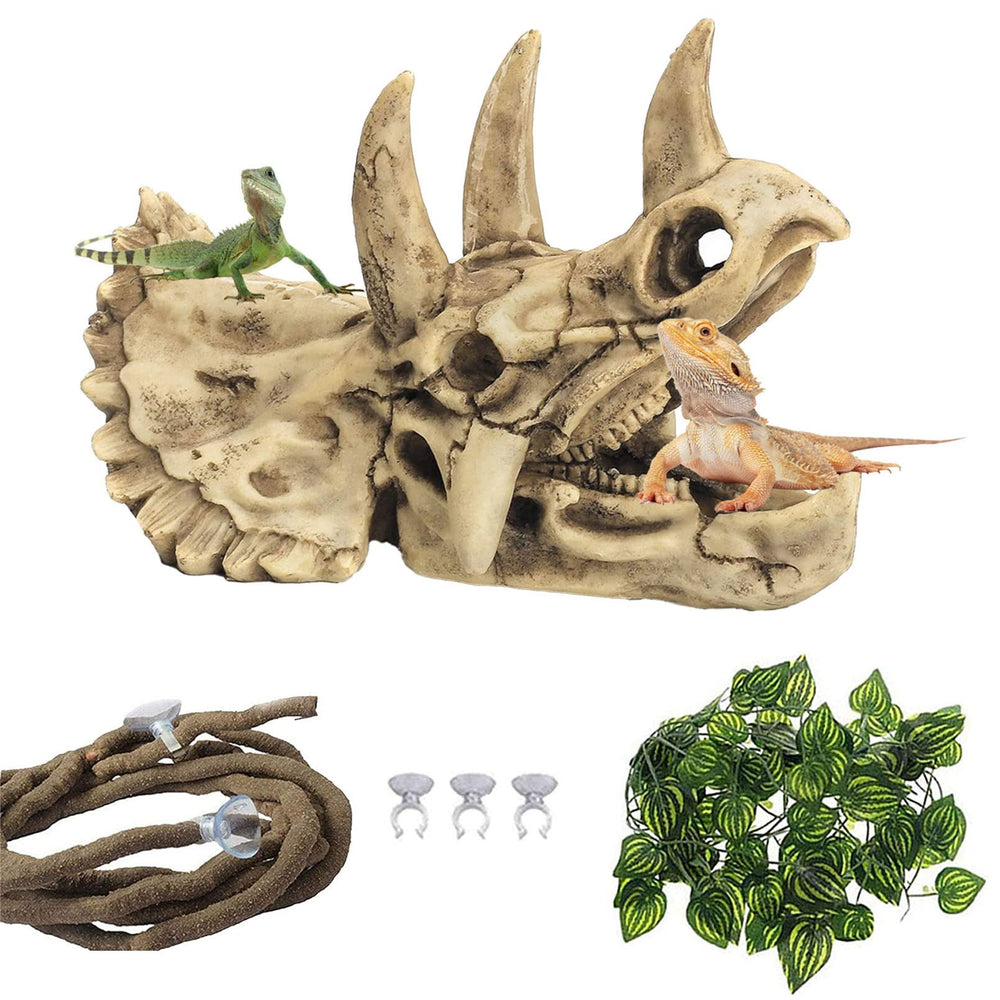 Kathson crâne Triceratops en résine pour terrarium réaliste.