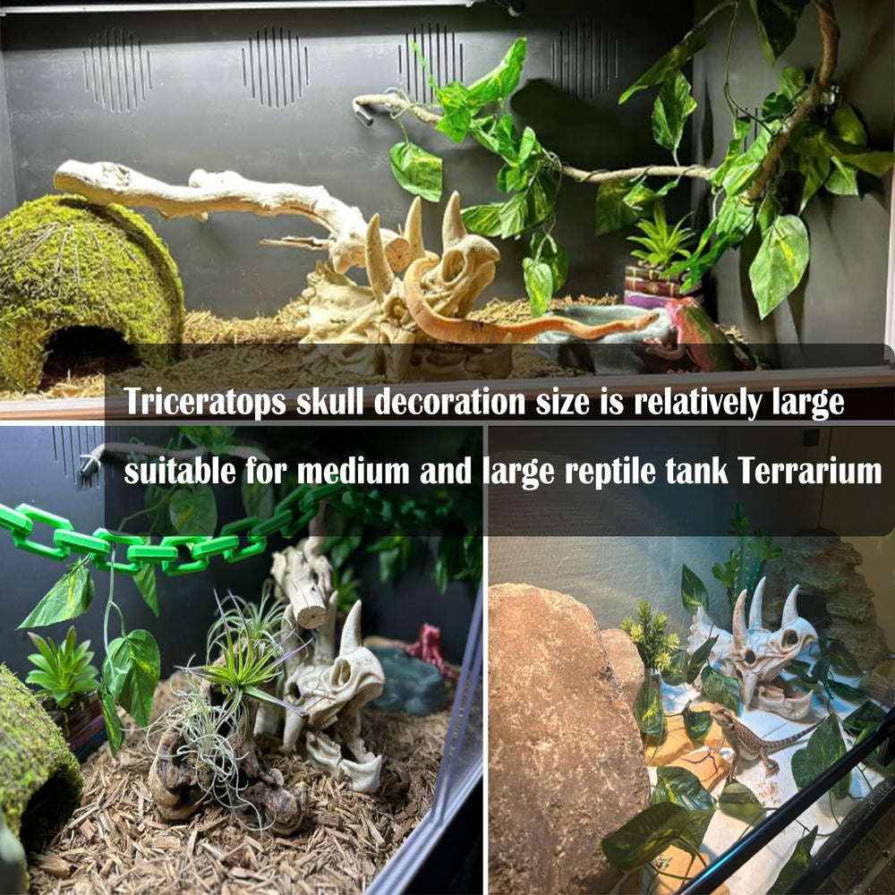 Kathson décor terrarium polyvalent pour reptiles et amphibiens.