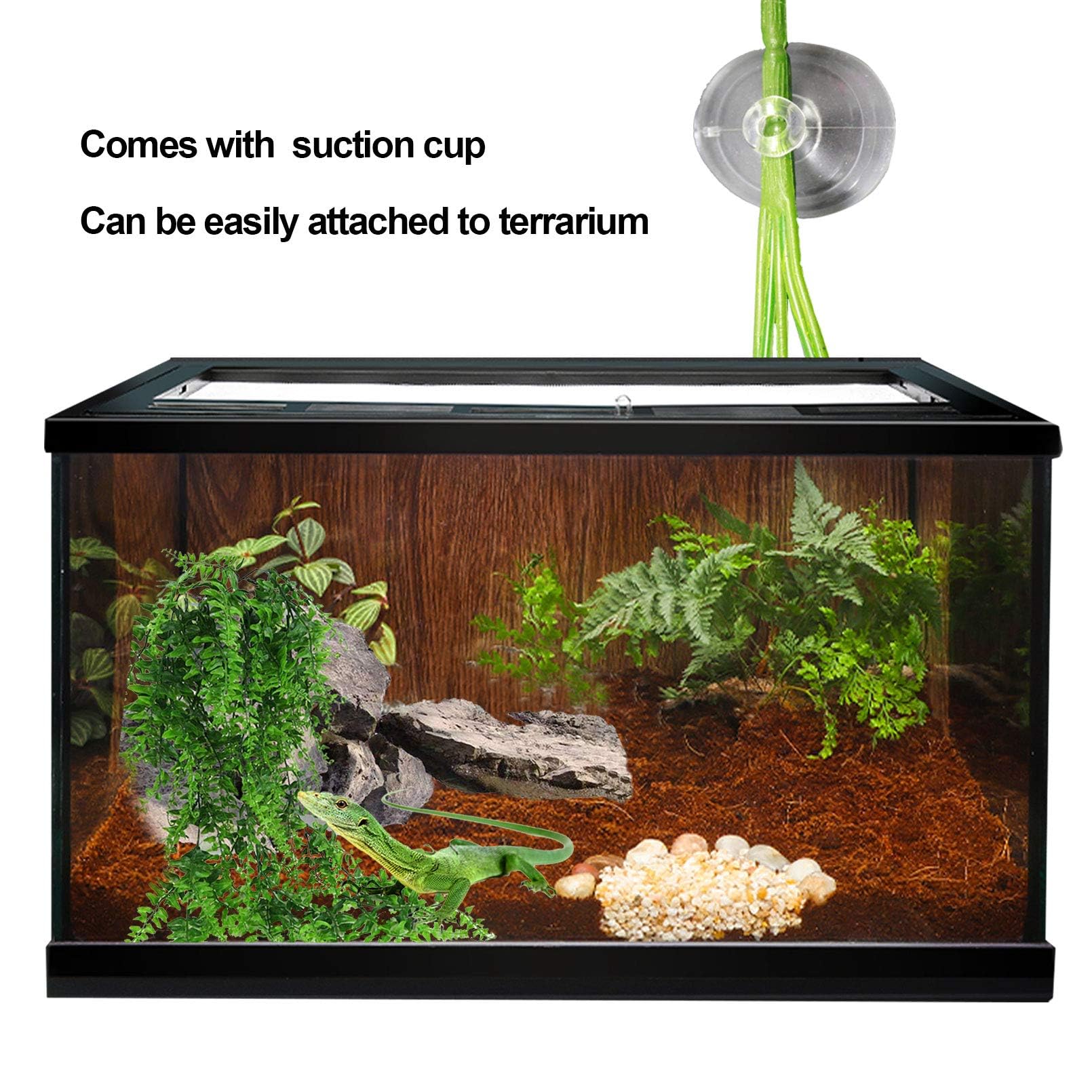 Kathson décoration terrarium riche et naturelle pour reptiles et amphibiens.