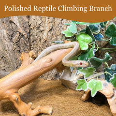 Kathson feuille décor plante, ajout décoratif pour habitat reptile.