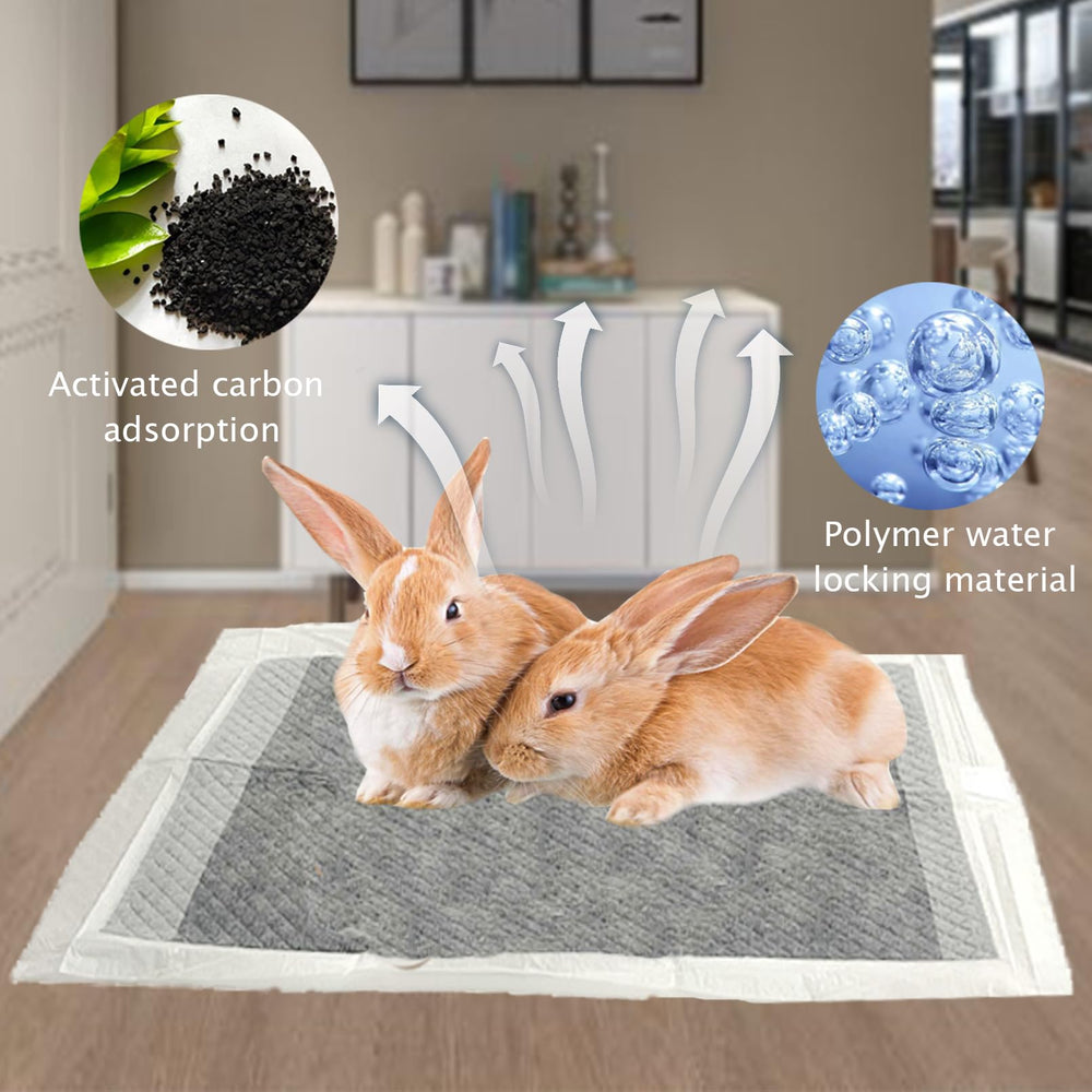Kathson matériaux haute qualité, sûr pour les petits animaux.