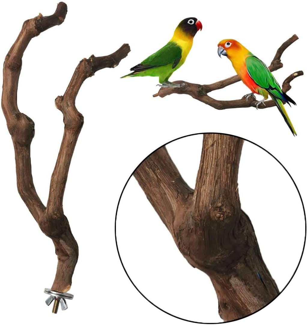 Parfait pour cages de petits oiseaux tels que les inséparables.