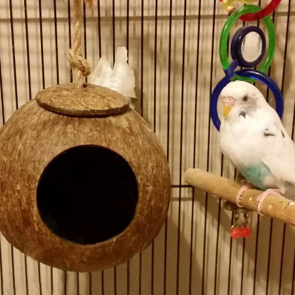 Kathson petites boules jouets, stimulation ludique et colorée pour oiseaux.