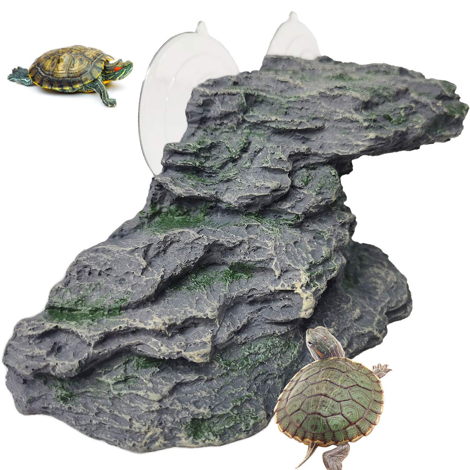 Kathson plateforme tortue – repos au soleil dans l'aquarium.