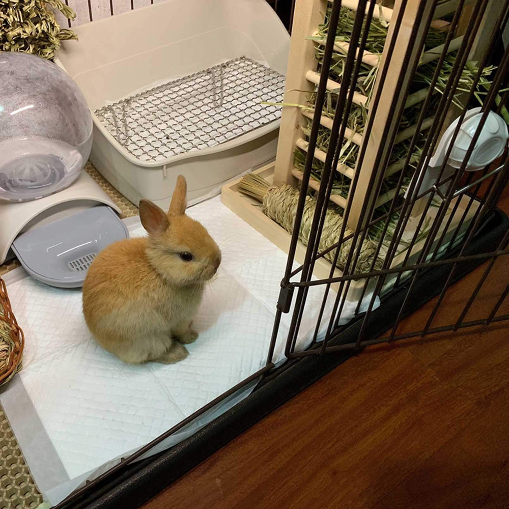 kathson-porte-foin-bois-petits-animaux : accès pratique au foin dans la cage