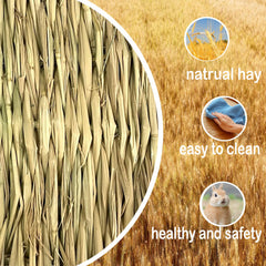 Kathson-tapis-herbe-rongeur texture naturelle visible, utile pour ronger en douceur.