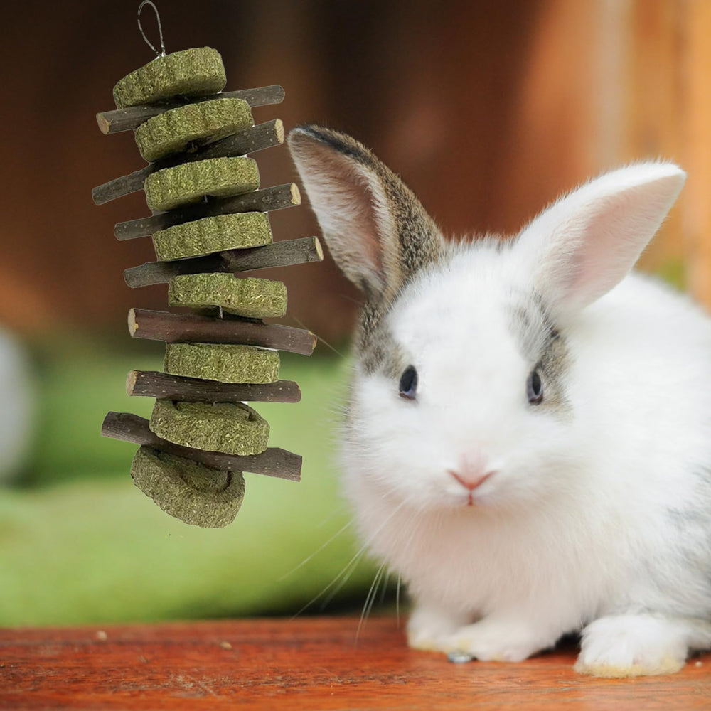 Kathson usage petits herbivores jouet naturel stimulant l exploration.