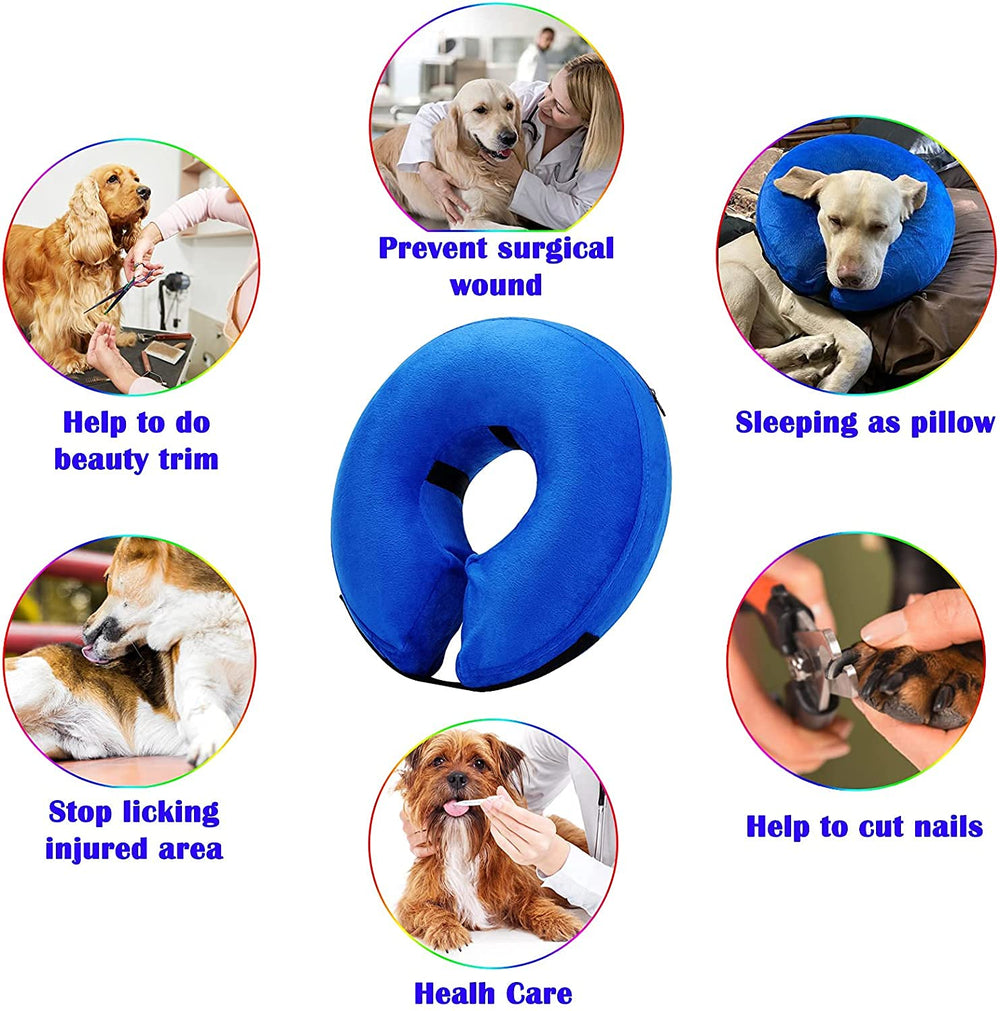 Katoggy collier inflable chien nettoyage facile et rangement compact