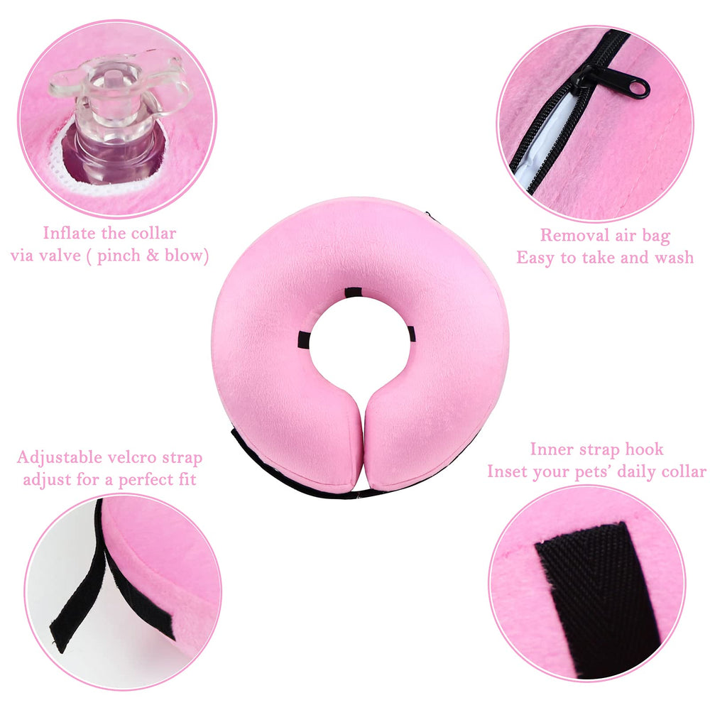 Taille M Katoggy adaptée pour chiens moyen, confort pendant la récupération.