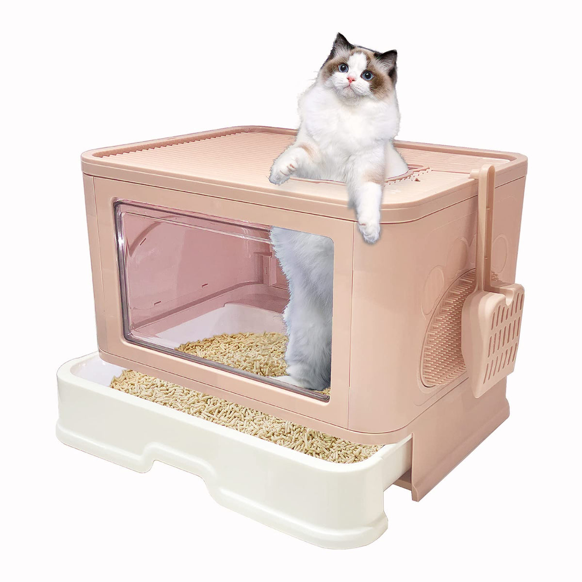 Kattypet litière boît e fermée porte haut: intimité et propreté pour le chat.