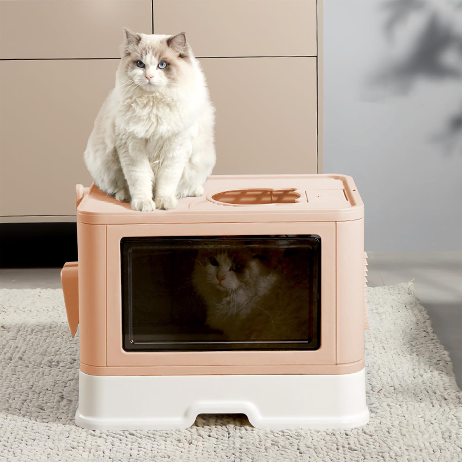 Kattypet litière brosse intégrée: soin du pelage et moment de détente.
