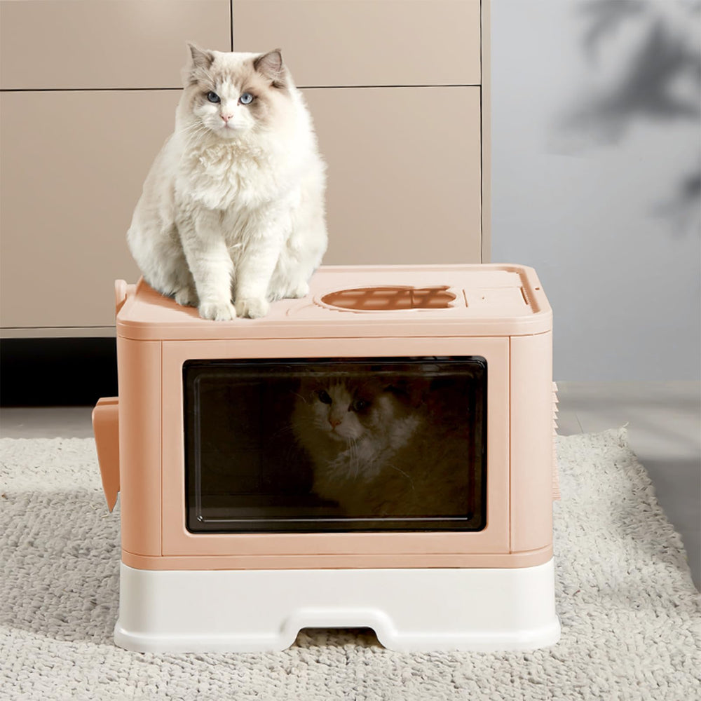 Kattypet litière brosse intégrée: soin du pelage et moment de détente.