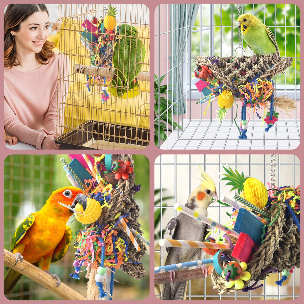 Fixation robuste avec crochet et chaîne Katumo pour cage, utilisation polyvalente.
