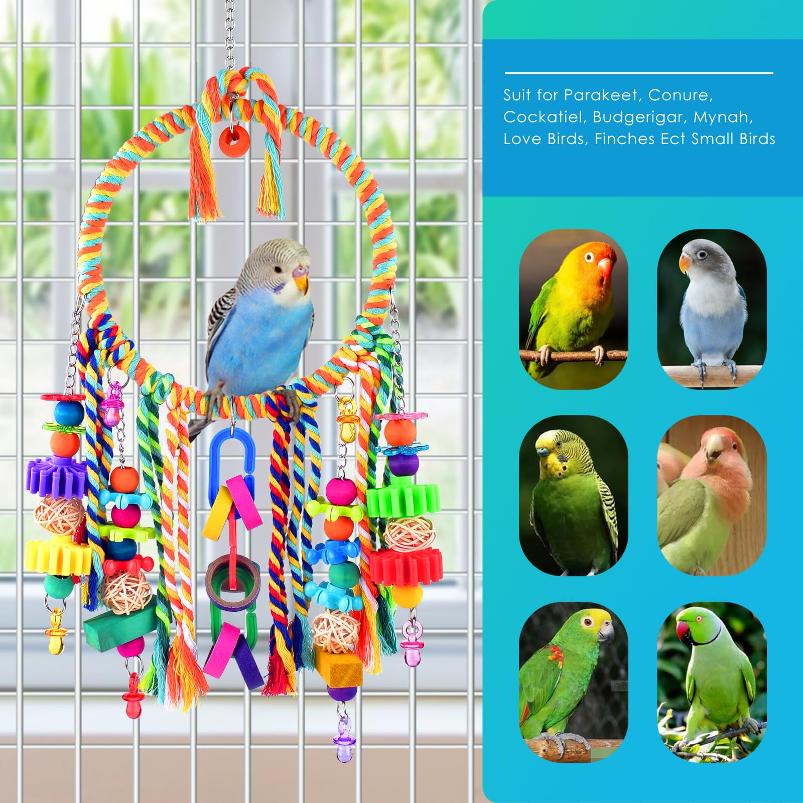KATUMO décor cage petit oiseau, ajout ludique et agréable.