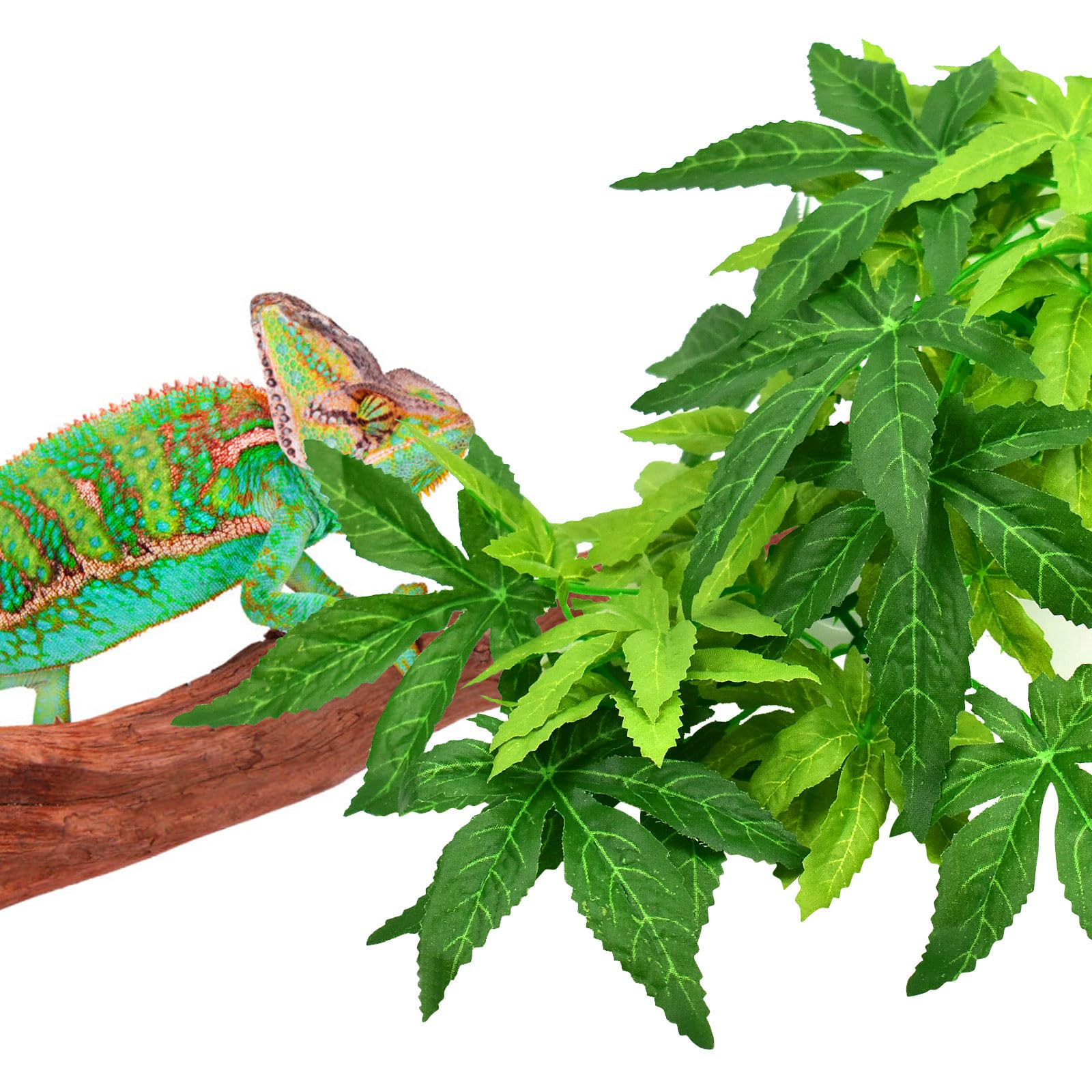 Entretien rapide des plantes KATUMO, lavage simple et sûr