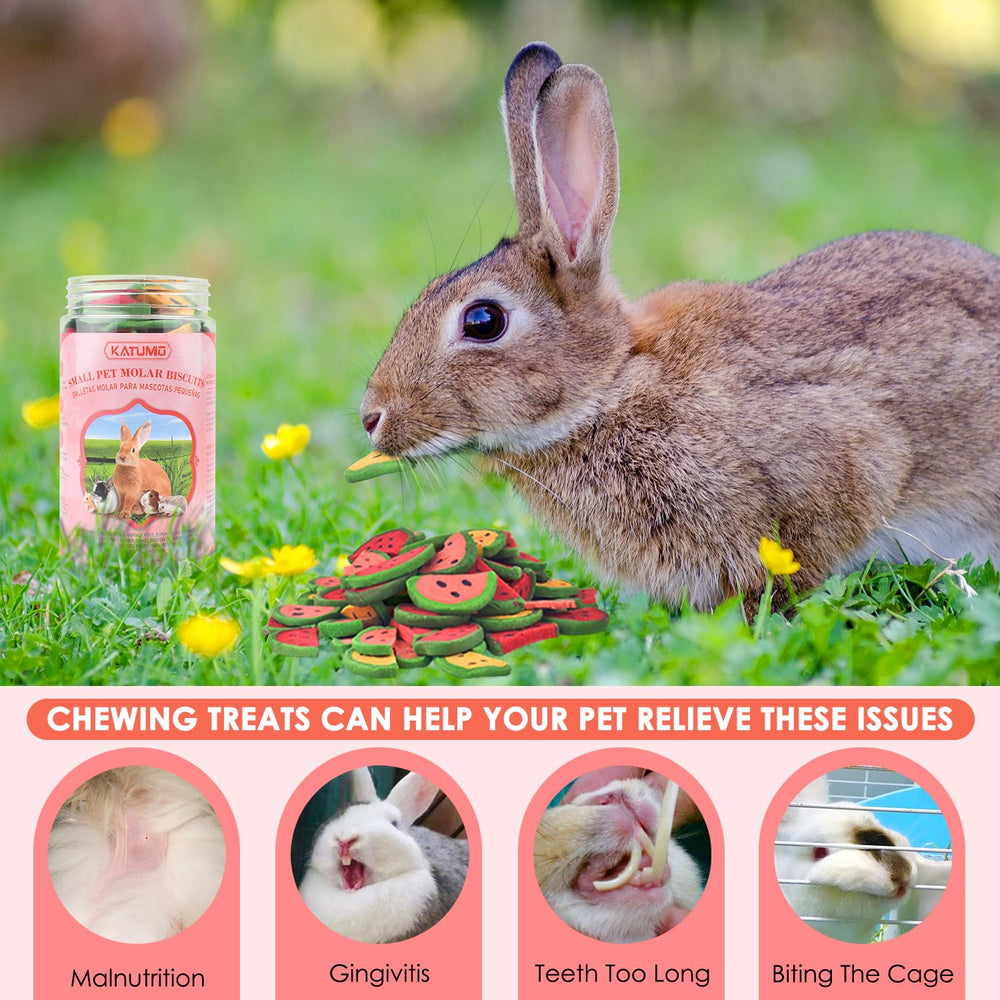 Friandise récompense KATUMO pour lapins et petits animaux, consommation modérée