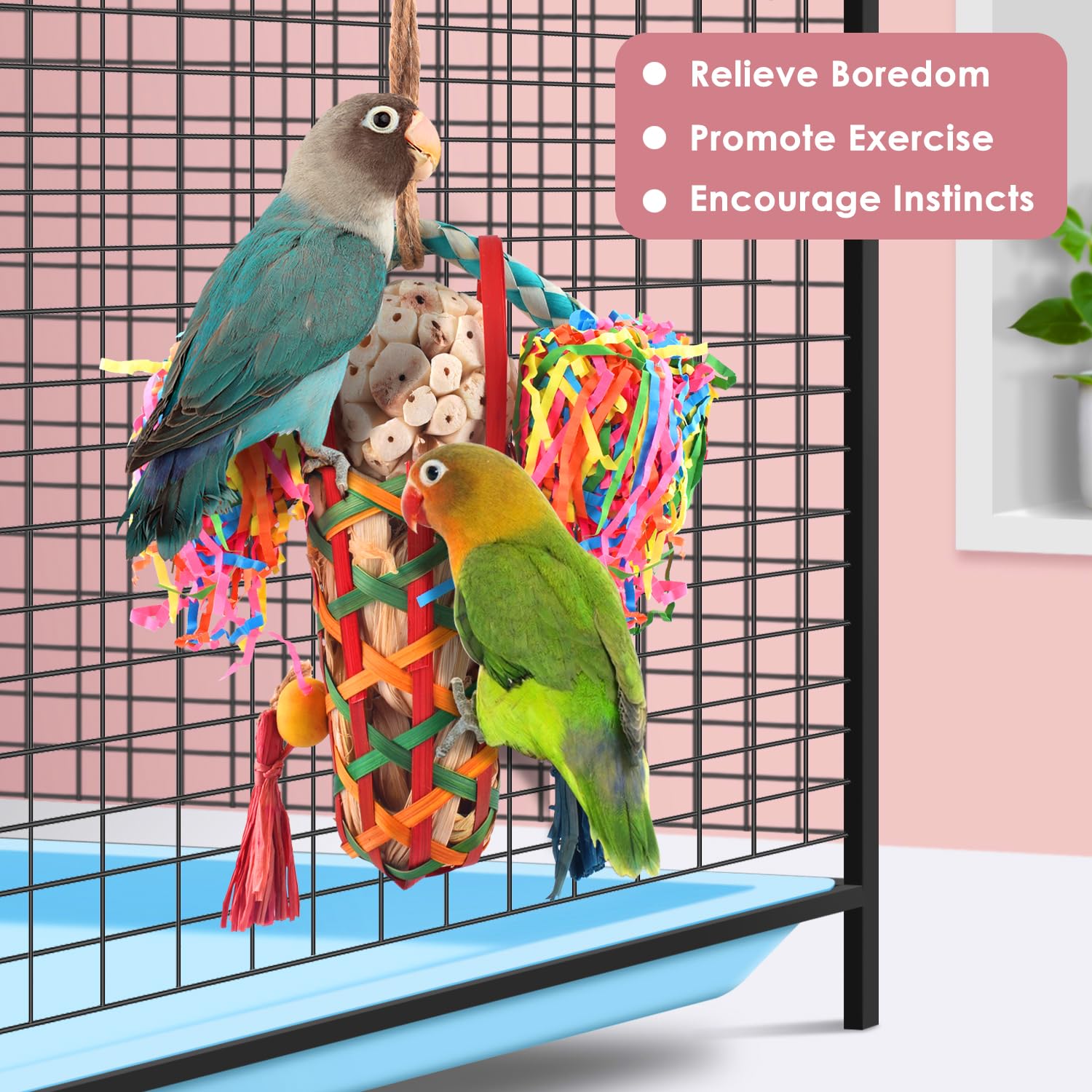 Jouet cacatoès et perruches Katumo: textures variées et entretien naturel