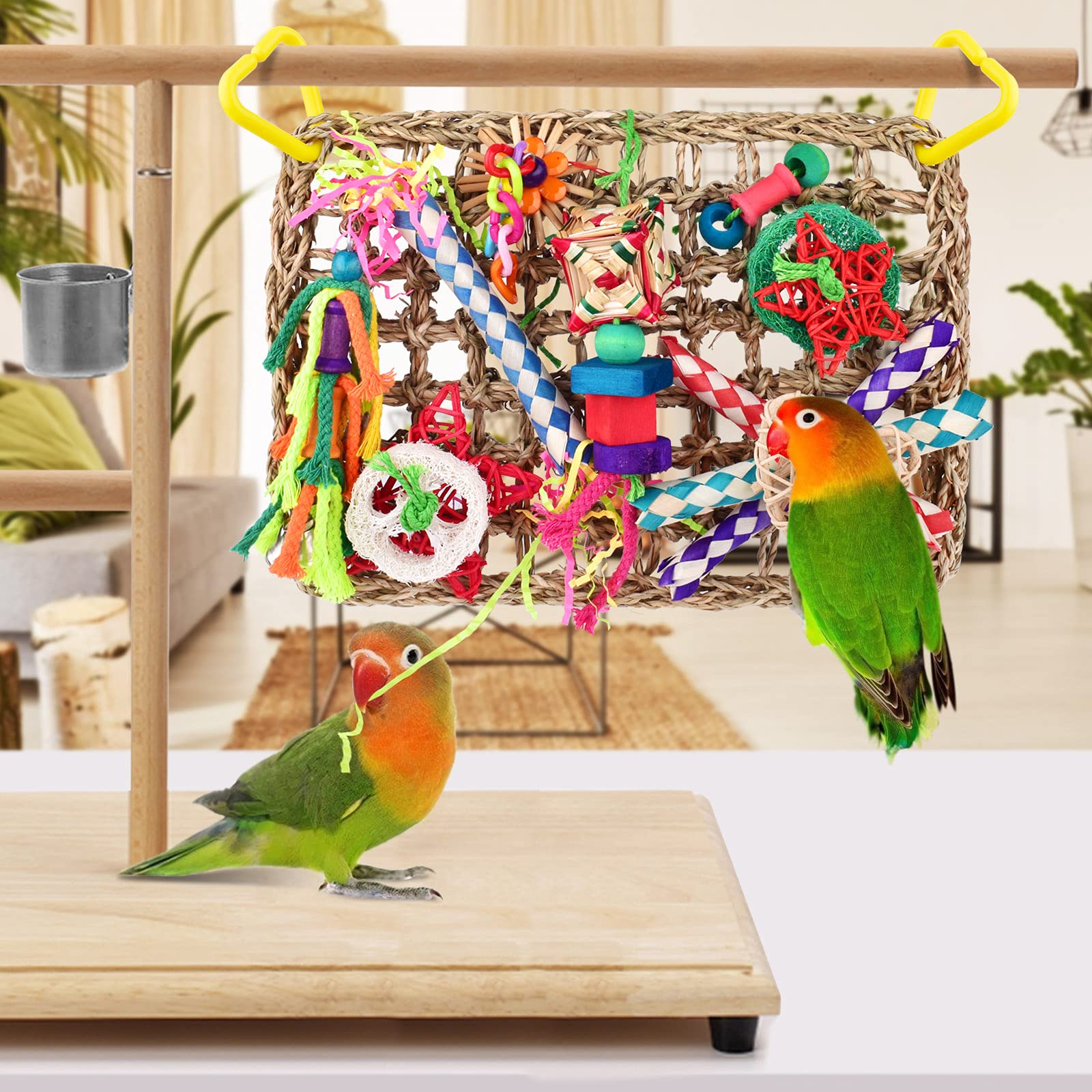 Katumo: jouet suspendu avec crochets acryliques, installation facile dans la cage.