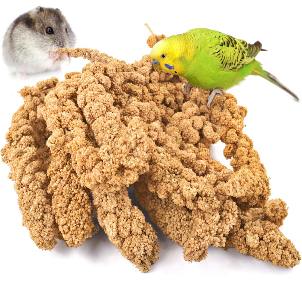 KATUMO Millet en Spray emballage: présentation claire et pratique pour l'alimentation quotidienne des oiseaux.