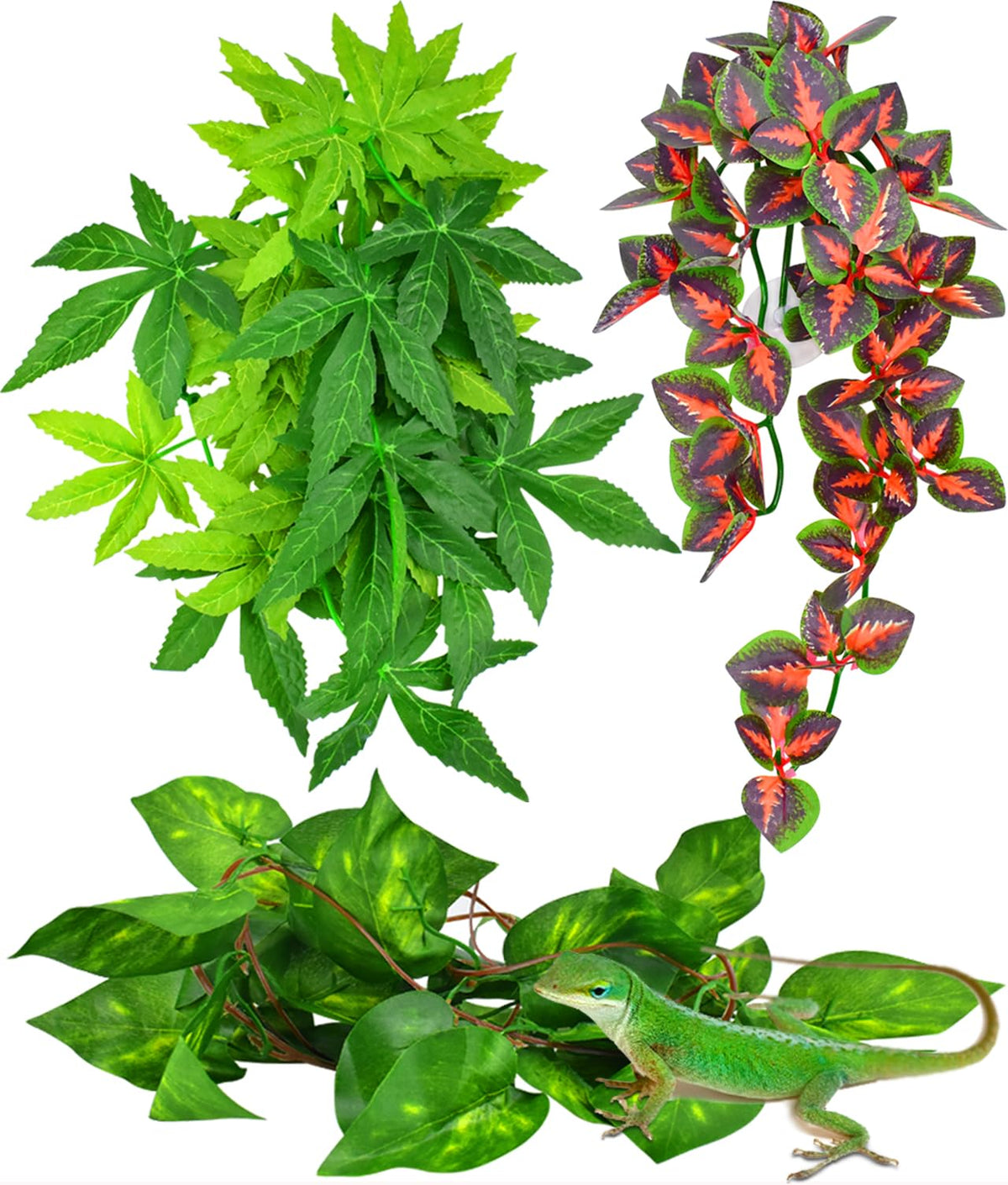 Plante suspendue rouge KATUMO pour terrarium, décor vivant et accueillant