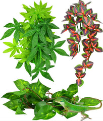 Plante suspendue rouge KATUMO pour terrarium, décor vivant et accueillant