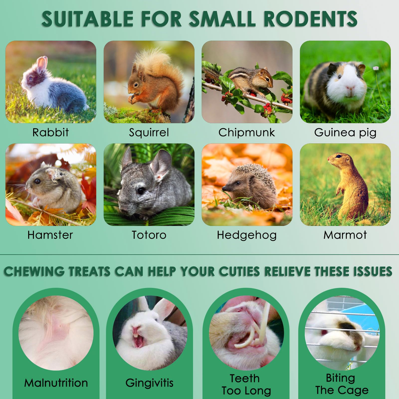 KATUMO jouets à mâcher pour lapin sans additifs; miettes possibles en transit.