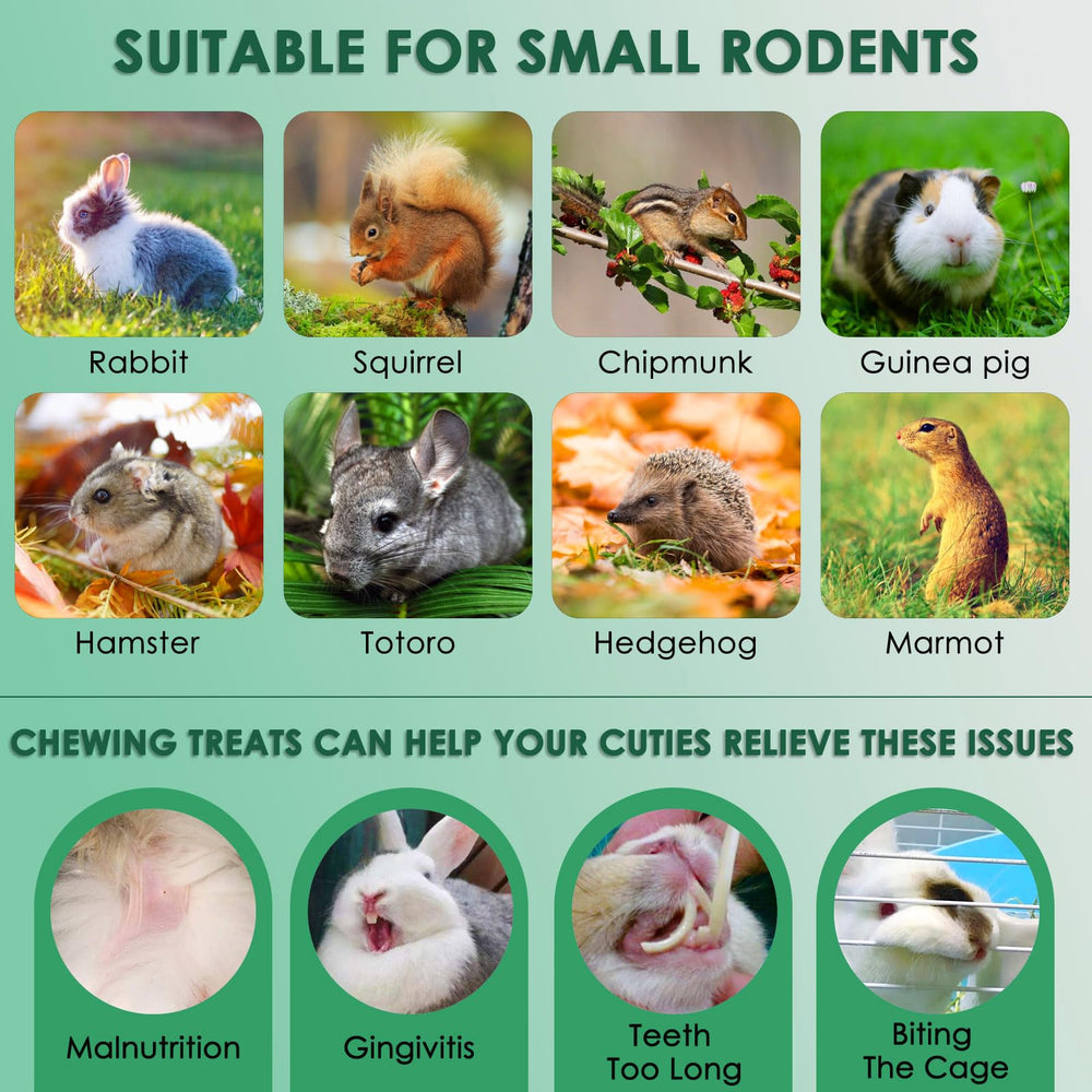 KATUMO jouets à mâcher pour lapin sans additifs; miettes possibles en transit.