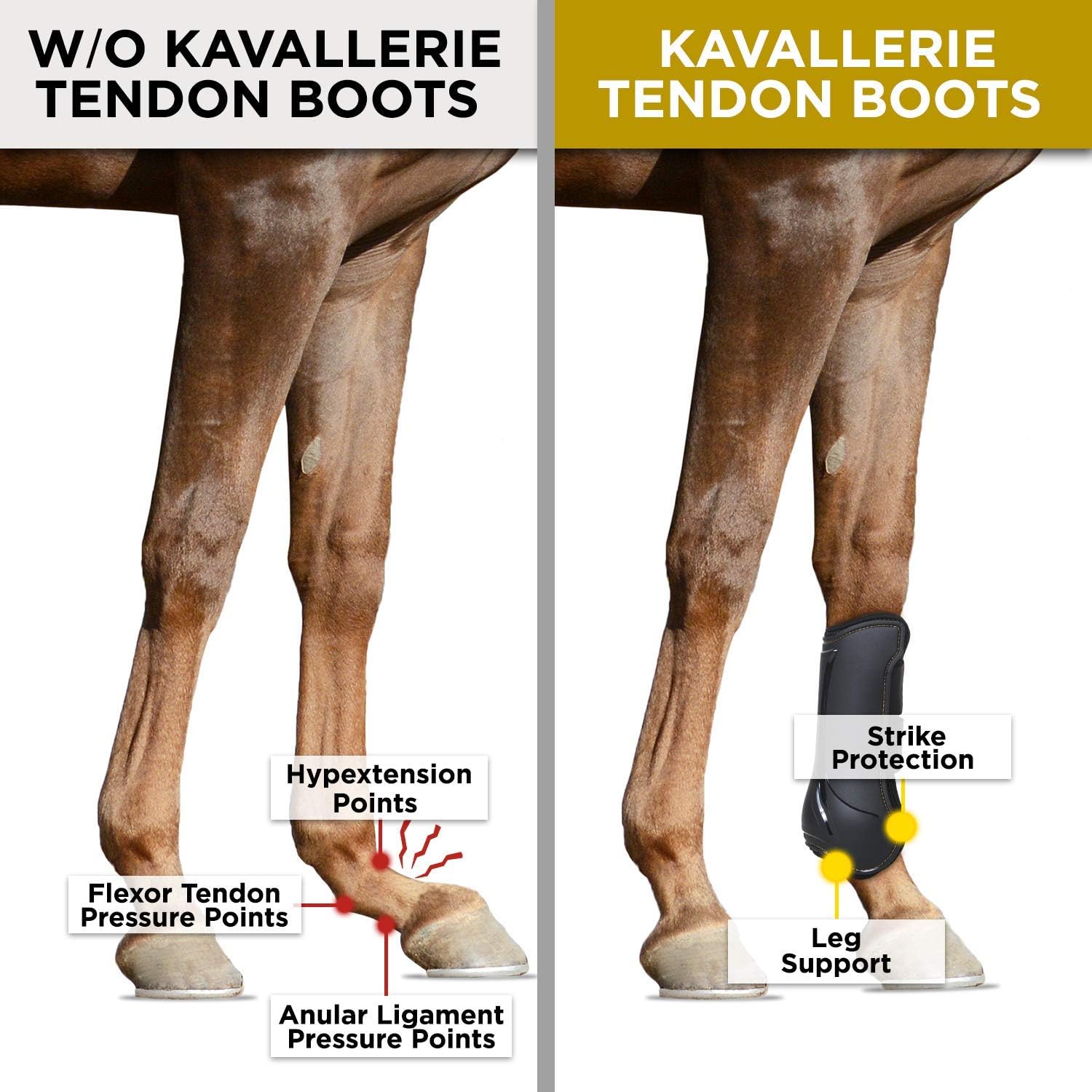 Bottes Kavallerie, revêtement en nylon respirant évacue l’humidité.