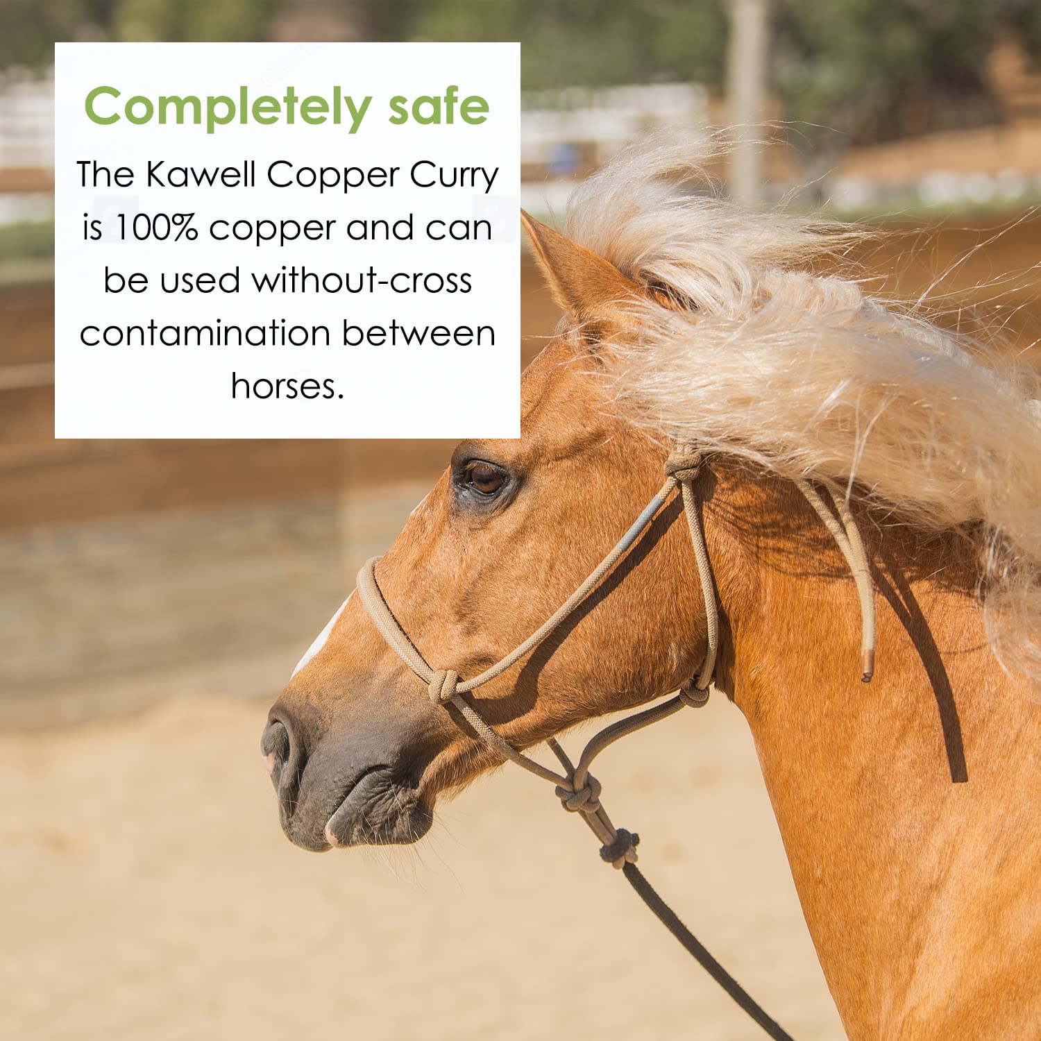 Kawell USA brosse curry cuivre, réduction des contaminants lors du toilettage.