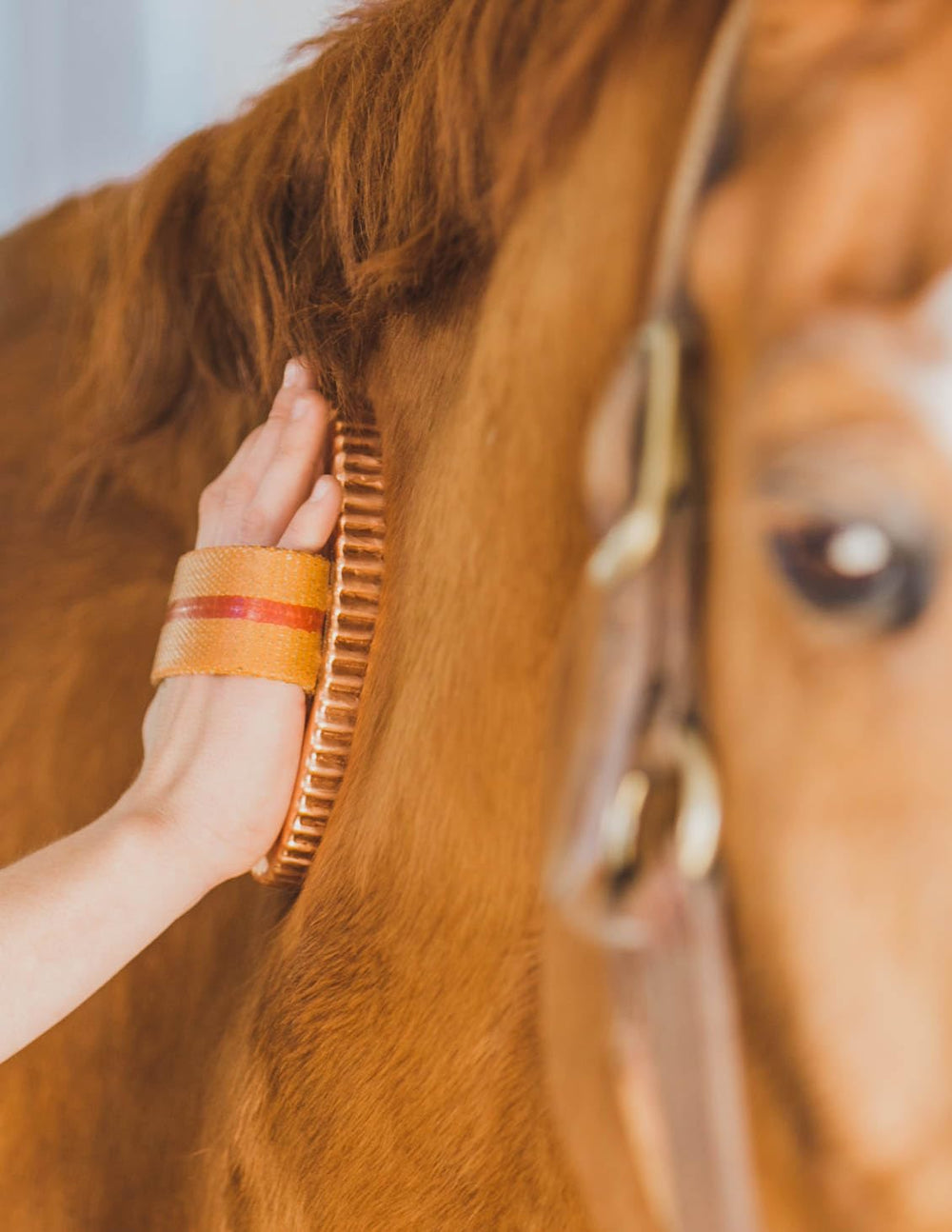 Kawell USA brosse curry cuivre, massage doux favorisant la détente du cheval.