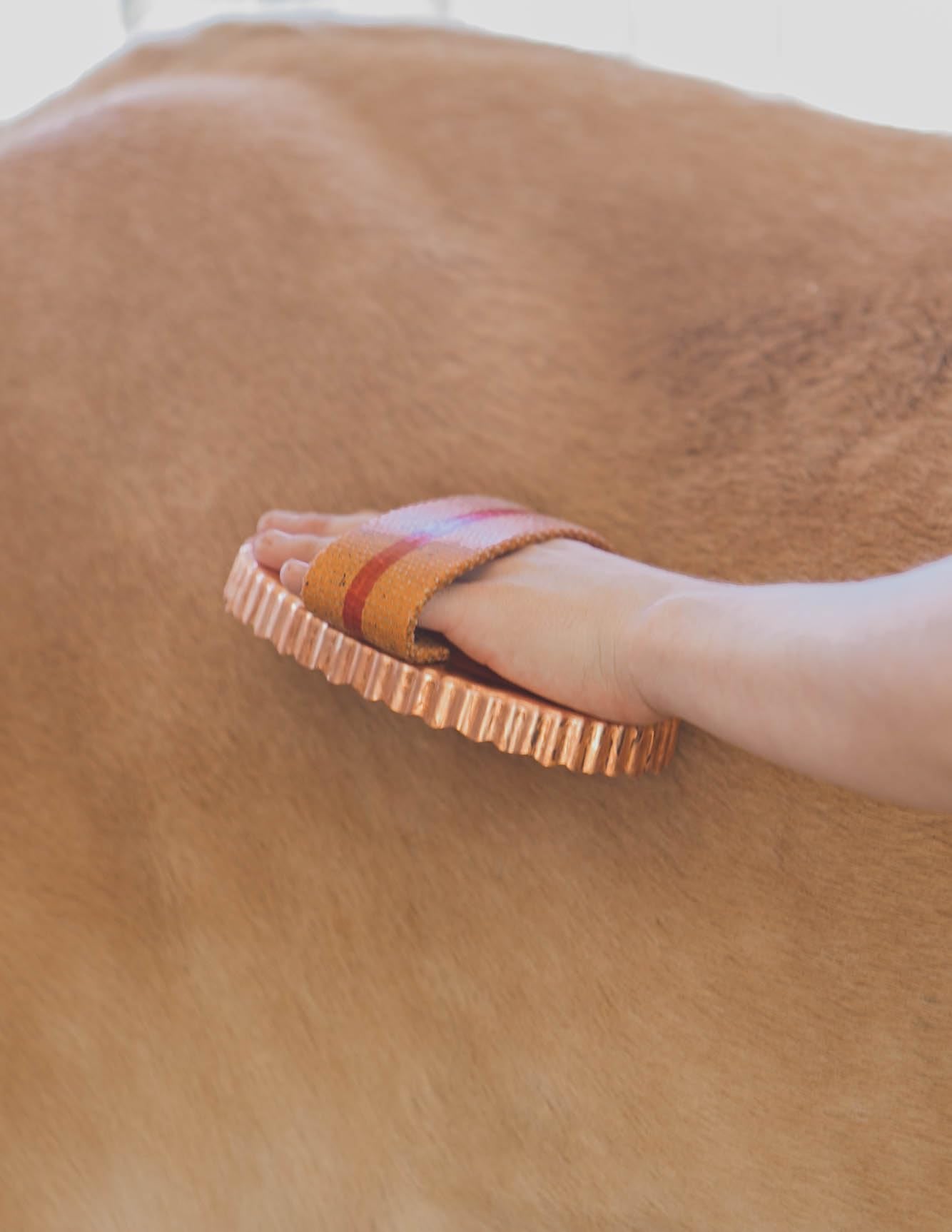 Kawell USA brosse curry pour chevaux, nettoyage efficace de la robe et des crins.