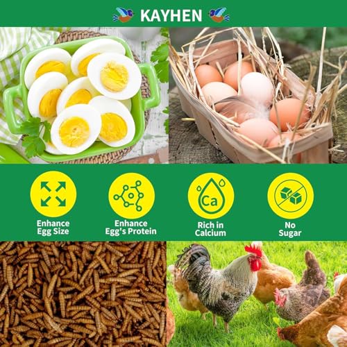 KAYHEN alimentation-naturelle-non-ogm, produit durable et sain.