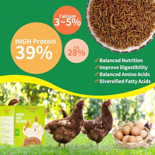 KAYHEN calcium-haut-oeufs-plus, meilleure densité minérale.