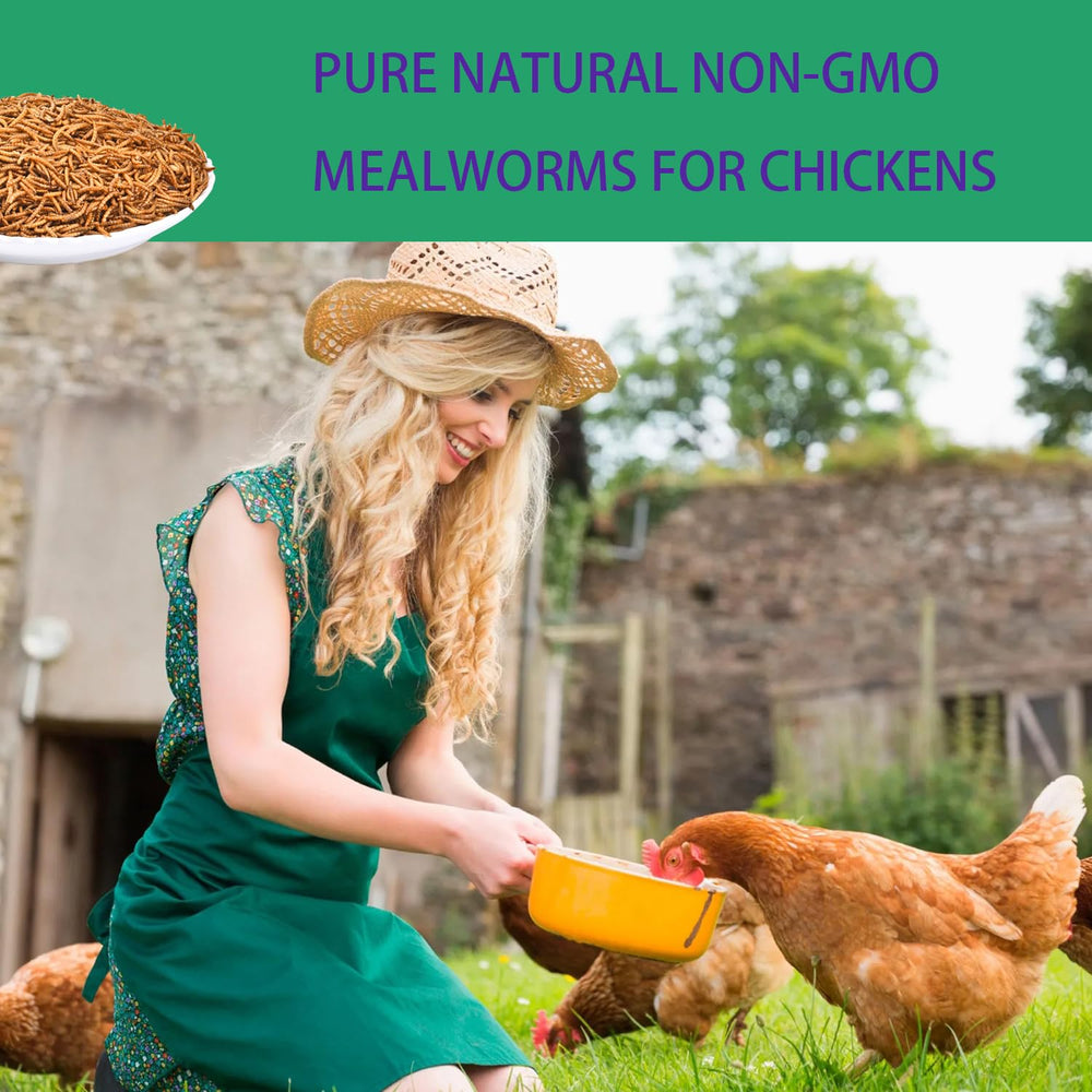 KAYHEN vers naturels et Non-OGM, idéal pour poules et oiseaux.