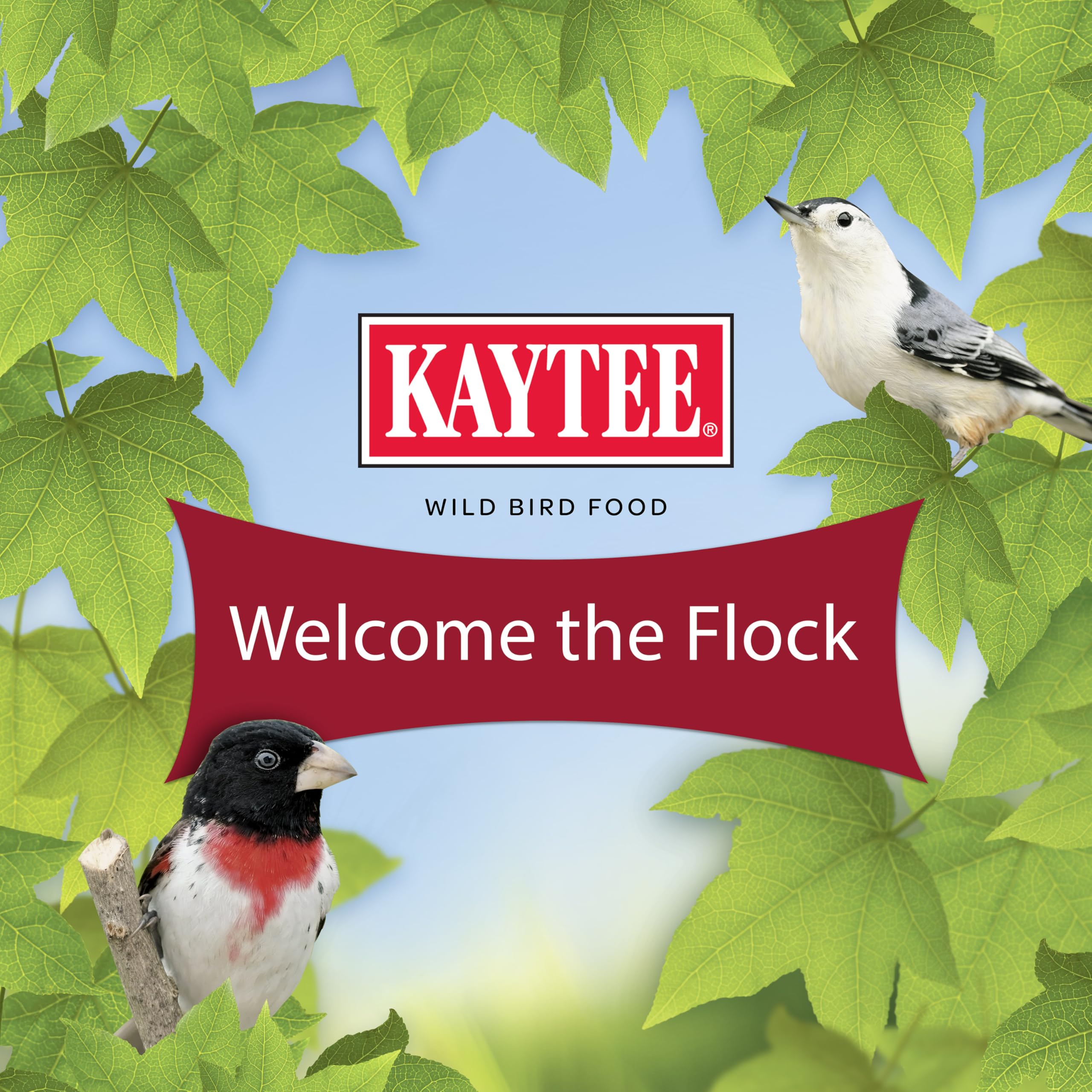 Kaytee All American, haute variété de graines pour diversité aviaire.