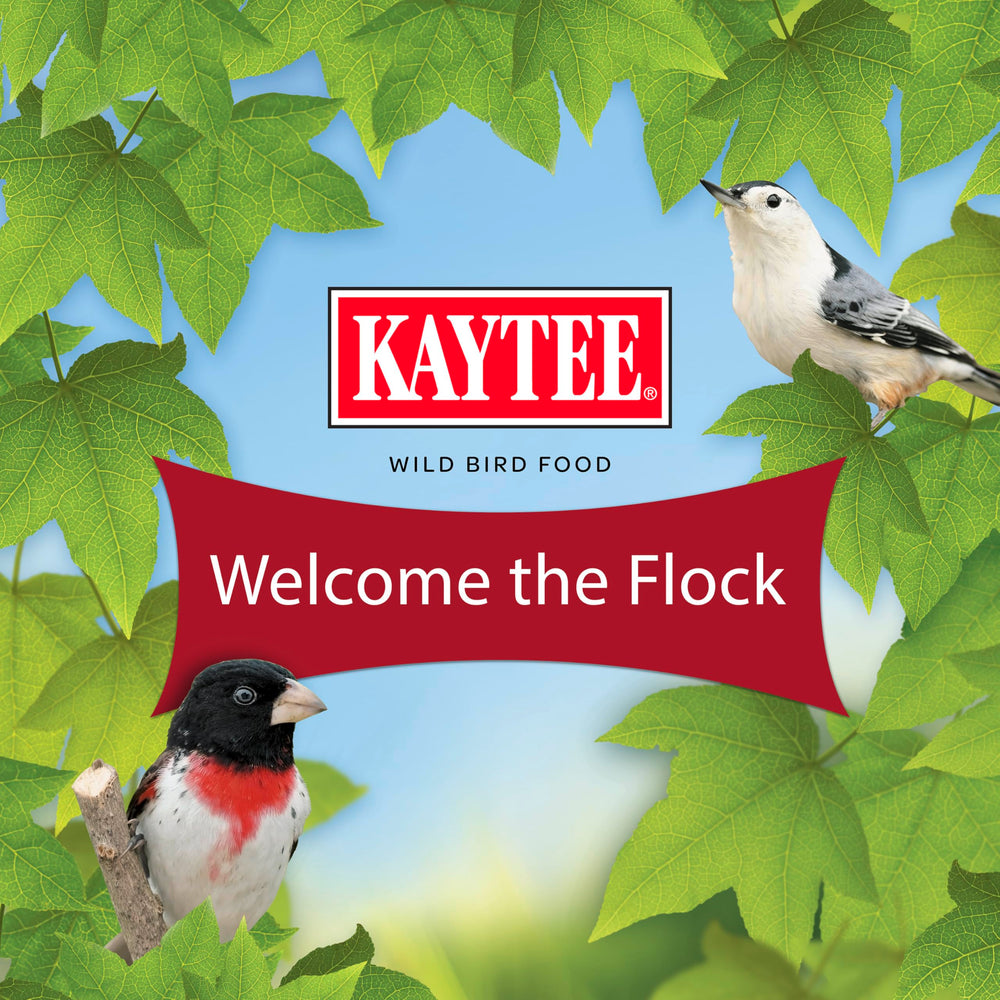 Kaytee All American, haute variété de graines pour diversité aviaire.