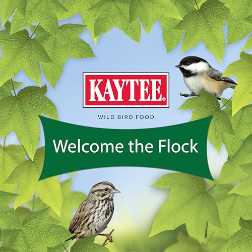 Kaytee Basic Blend diversité d'oiseaux dans votre jardin.