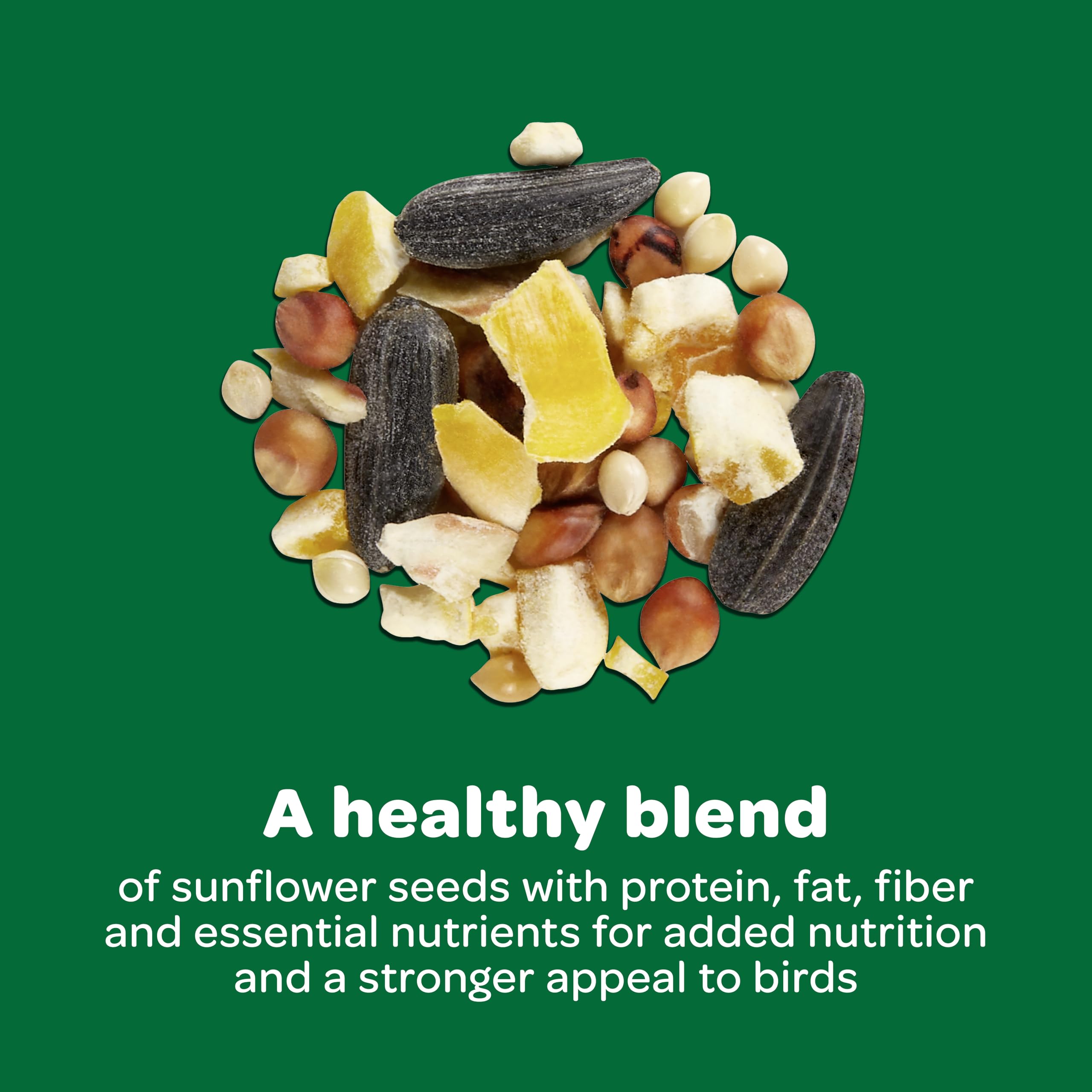 Kaytee Basic Blend enrichi en vitamines pour la vitalité des oiseaux.