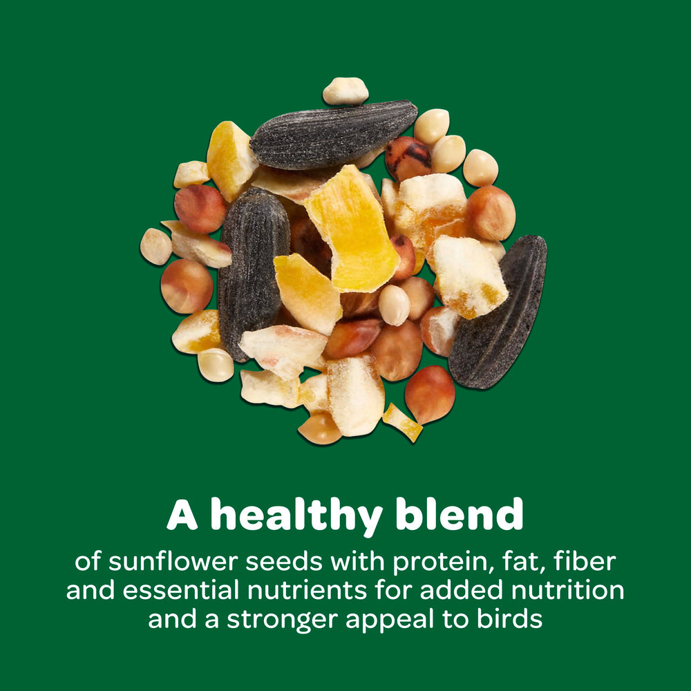 Kaytee Basic Blend enrichi en vitamines pour la vitalité des oiseaux.
