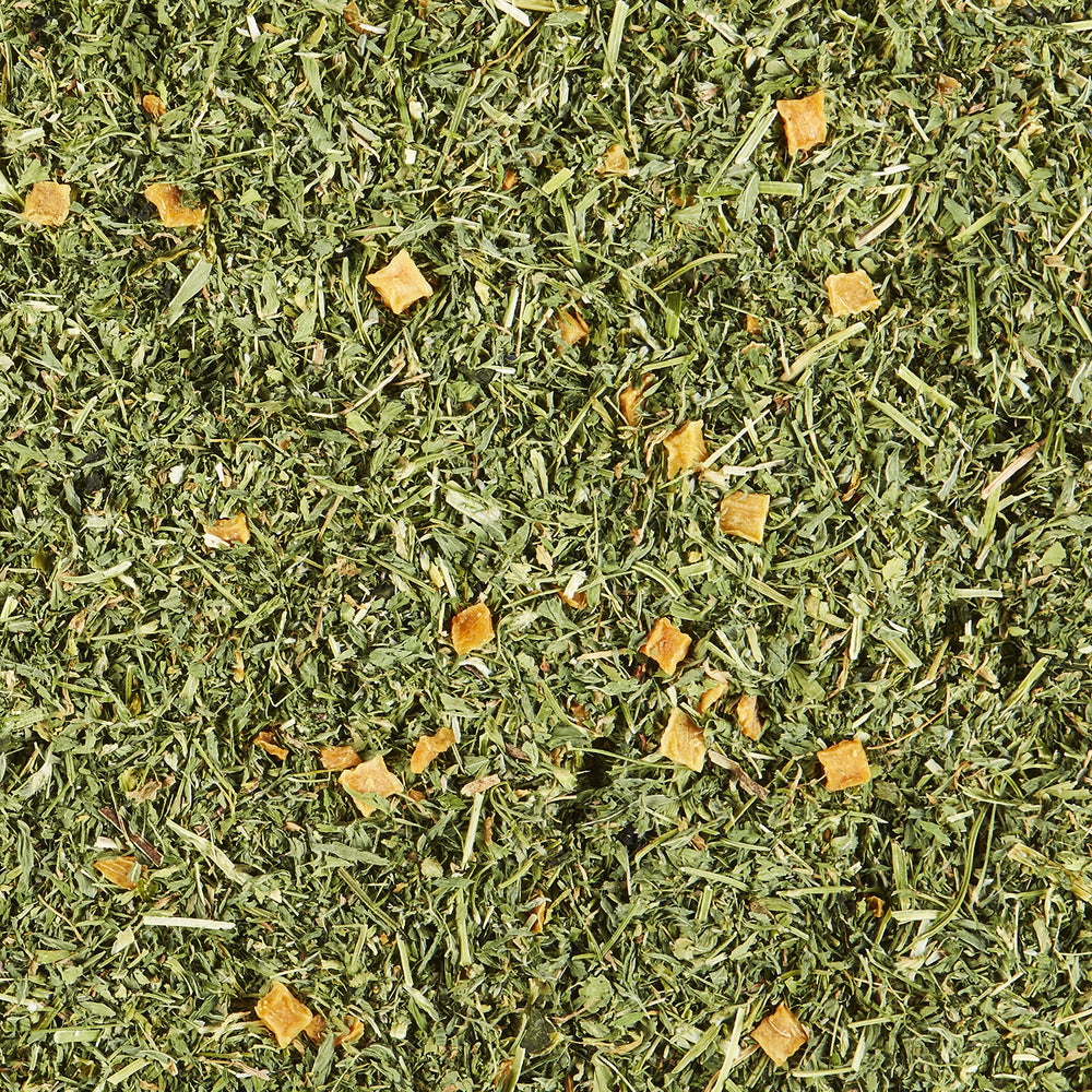 Mélange alfalfa, persil et kale Kaytee, source variée de nutriments