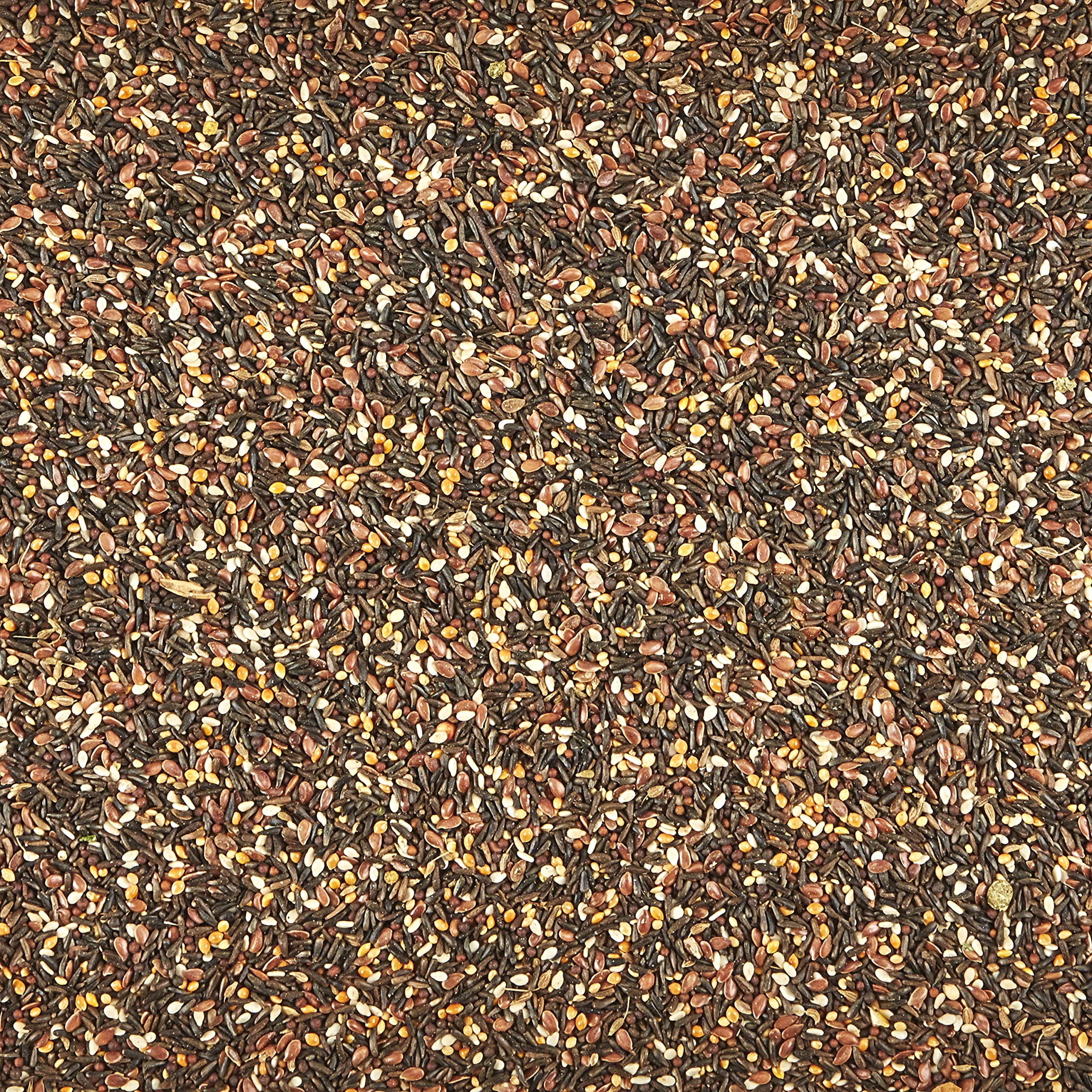 Kaytee bocal transparent montrant aliments variés, encouragement à la mâche et au goût.
