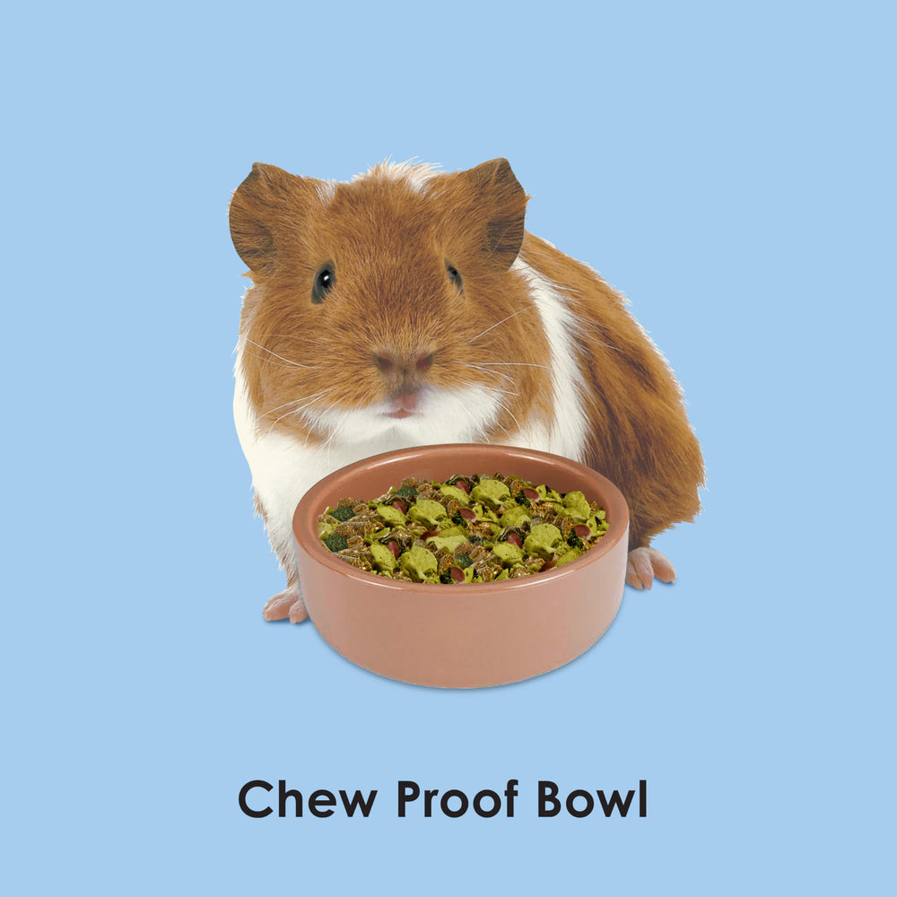 Kaytee bol hamster brun en céramique, résistant à la rouille pour sécurité alimentaire.