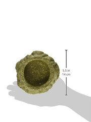 Kaytee Chew-A-Bowl pour chinchillas: option de mâchage naturelle.