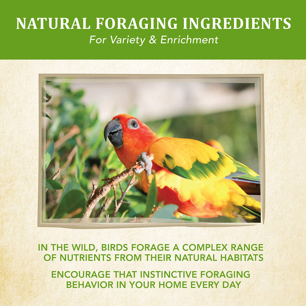 Kaytee Conure Prébiotiques Probiotiques soutiennent la digestion et le bien-être intestinal.